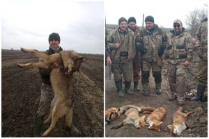 В Запорожской области убили 4 волков и 15 лисиц: с трупами животных устроили “фотосессию” (ФОТО)