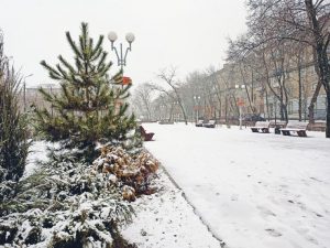 В Запорожье выпал снег в конце марта: какой погоды ожидать дальше (ФОТО)