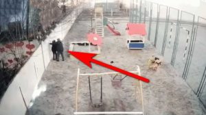 В Днепре мужчина жестоко избил 9-летнего ребенка из-за конфликта на площадке (ВИДЕО)