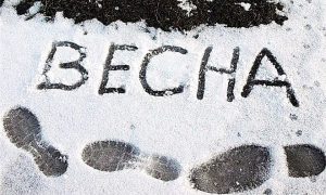 В нескольких областях Украины выпал снег (ФОТО, ВИДЕО)