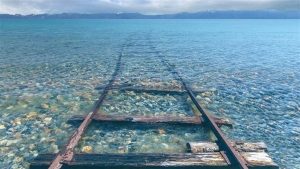 Отдых на море: в чем соль