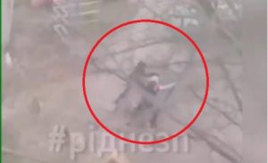 В Запорожье школьники выкорчевали турник во дворе: вредители попали на ВИДЕО