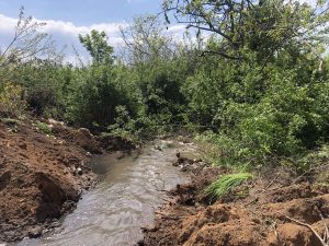В Азовское море произошел слив нечистот на запорожском курорте (ФОТО), – СМИ