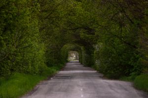 Фотограф показал на снимках необыкновенные локации под Запорожьем