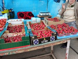 На рынках Запорожья уже во всю продают клубнику: какие цены (ФОТО)