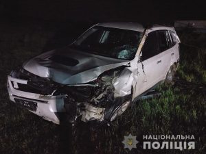 В Запорожской области пьяный охранник украл иномарку и разбил её (ФОТО)