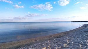 В Азовское море может попасть загрязненная радиацией вода, – Шмыгаль