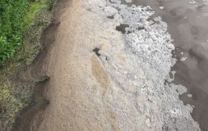 Река превратилась в коричневую жижу с мертвой рыбой: фото новой экокатастрофы в Украине