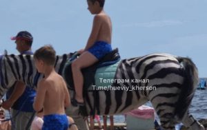 Курьез на украинском курорте: отдыхающих катали на лошади, перекрашенной в зебру (ФОТО, ВИДЕО)