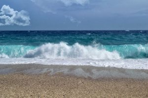 Змеи, морские блохи и медузы: все “сюрпризы” отдыха на Азовском море