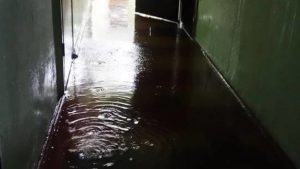 “Водопады” в подъездах: многоэтажки затопило после дождя в Запорожье (ВИДЕО)