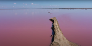 По дороге к морю: ТОП природных фотозон Азовского побережья (ФОТО, ВИДЕО)