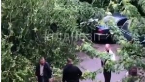 В Запорожье дерево рухнуло на новый автомобиль (ВИДЕО), – соцсеть