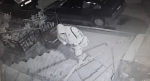 В Запорожской области орудует злоумышленник: он попал на ВИДЕО