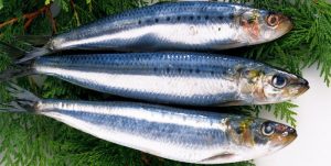Какую рыбу включить в рацион, чтобы извлечь максимум пользы
