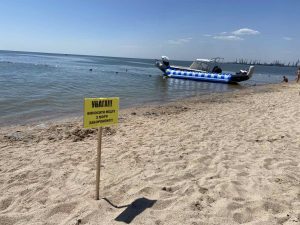 В Бердянске запрещают выносить медуз на берег и закапывать: причины