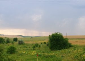 В Запорожской области выставили на земельные торги более 4000 гектаров природных заказников