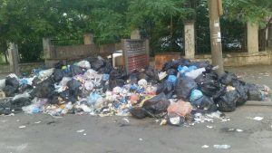 “Скоро крысы будут бегать по проспекту”: в Бердянске негодуют из-за мусорных гор на улицах (ФОТО)