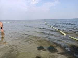 Азовское море: сетки от медуз не помогут? – Комментарии экспертов