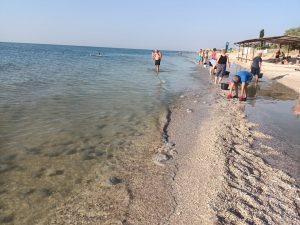 В Кирилловке чистят пляжи от медуз (ФОТО, ВИДЕО)
