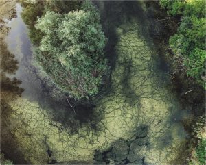 Фотограф показал снимки озер на Хортице с высоты