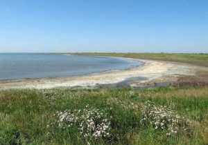 В Кирилловке курортники нашли альтернативу морю с обустроенным местом для отдыха (ВИДЕО)