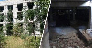 15-летняя девушка убила своего парня, спрятав тело под грудой кирпичей на Житомирщине
