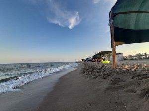 На каком пляже Бердянска нет медуз (ВИДЕО)