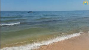 На каких курортах Азовского моря исчезли медузы (ВИДЕО)