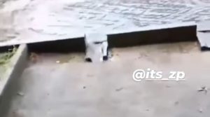 В центре Запорожья обнаружили “ливневку-муляж” (ВИДЕО)