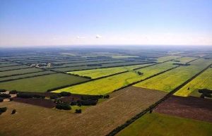 Названа средняя стоимость сельхозземель в Украине