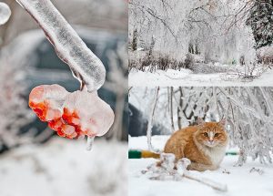 Снежные бураны и ледяные дожди: какие сюрпризы ждут украинцев этой зимой
