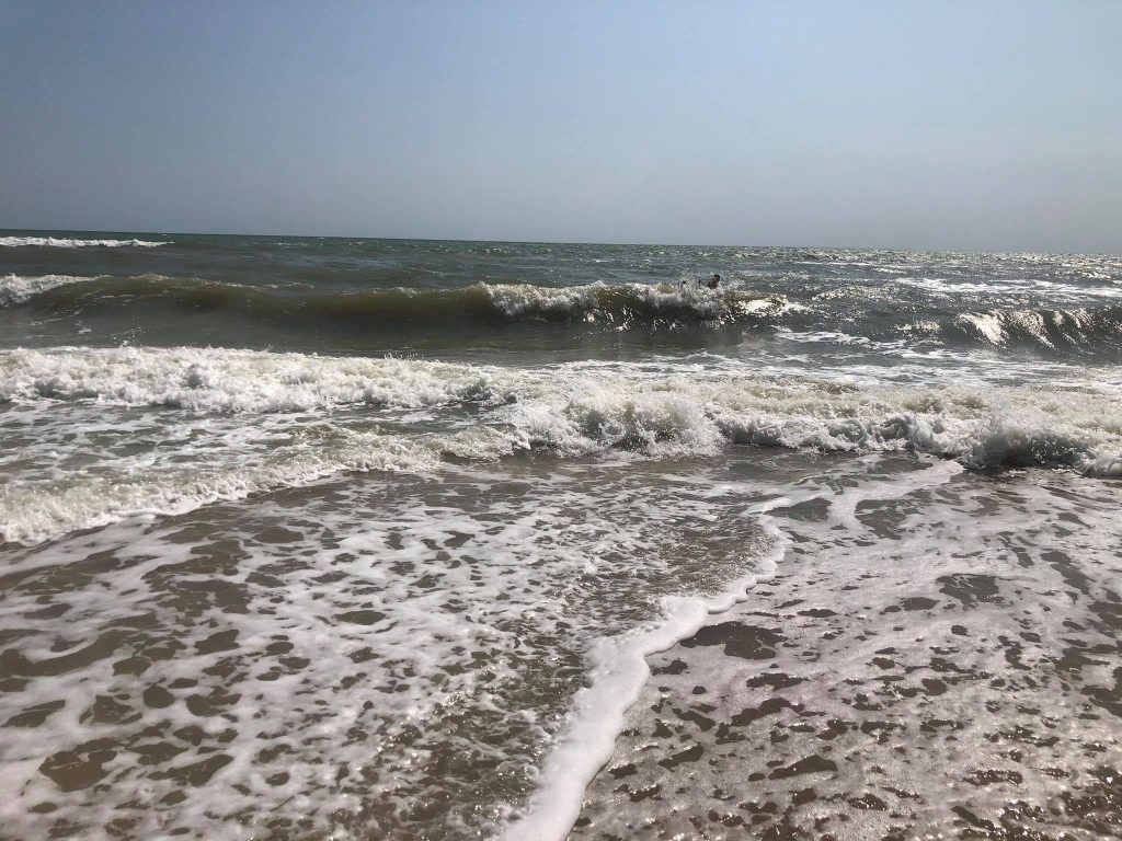 В Кирилловке бушующее море очистилось от медуз (ФОТО)