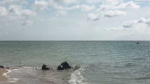 Дожди и легкая прохлада: испортится ли погода на курортах Азовского моря