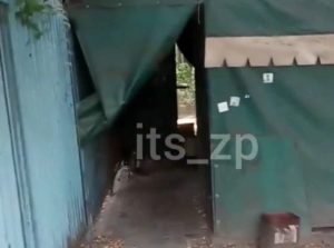 В Запорожье сразу за остановкой “прятались” игровые автоматы (ВИДЕО)
