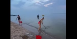 В Примпосаде вылавливают медуз граблями (ВИДЕО)