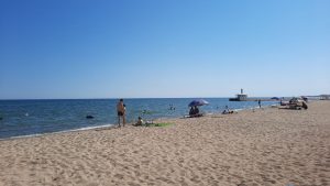 В Приморске море очистилось от медуз: когда снова ожидать наплыв (ФОТО, ВИДЕО)