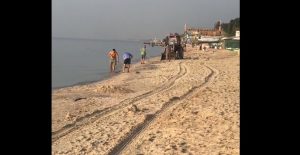 В Кирилловке сразу же убирают медуз, которых сегодня вынесло на берег (ВИДЕО)