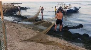 В Бердянске тонны водорослей пытались затащить обратно в море: что из этого вышло (ФОТО)