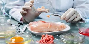 Через запорожскую фирму опасное мясо ввозилось в Украину