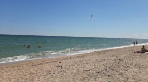 Море в Бердянске остыло до +21, но люди продолжают купаться (ФОТО, ВИДЕО)