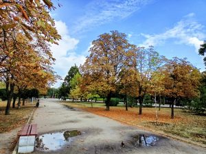 Метеорологи прогнозируют дожди и похолодание в Запорожье