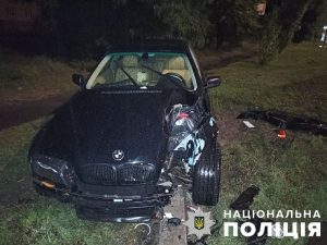 Водитель BMW обесточил сотни домов в Запорожской области (ФОТО)