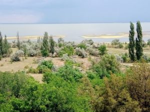В сети показали невероятные осенние пейзажи побережья Молочного лимана (ВИДЕО)