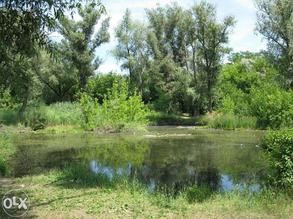 В Запорожье ищут инвестора для участка на 21 гектар с озером и лесом (ФОТО)