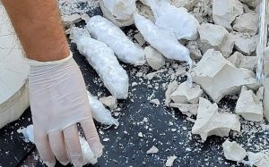 Прятали в скульптурах: в Запорожье перекрыли поставку партии наркотиков на 4 миллиона гривен (ФОТО)
