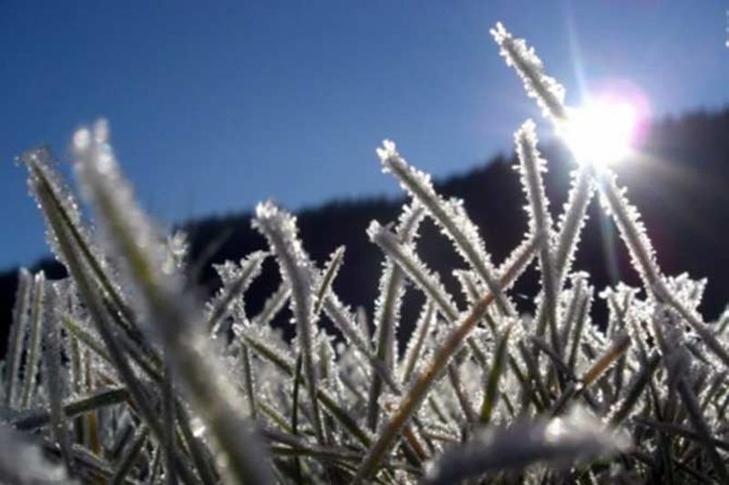 Завтра в Запорожской области ожидаются первые заморозки