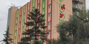 Мурал украсил студобщежитие Запорожья: как это выглядит (ФОТО)