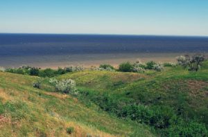 В Запорожской области почти на 10 тысяч гектаров увеличили площадь Национального природного парка (КАРТА)