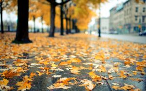 Метеорологи рассказали, какой будет погода в первые выходные ноября в Запорожье